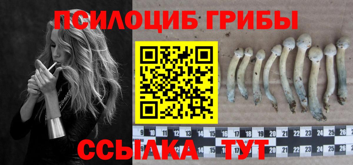 купить наркоту  Вход с VPN  Протвино  Галлюциногенные грибы мицелий  Псилоцибиновые грибы ЛСД 